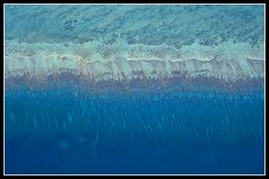 Aerial of Reef